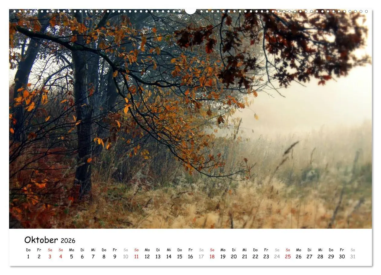 Bild: 9783516071221 | Unterwegs im Teufelsmoor (hochwertiger Premium Wandkalender 2026...