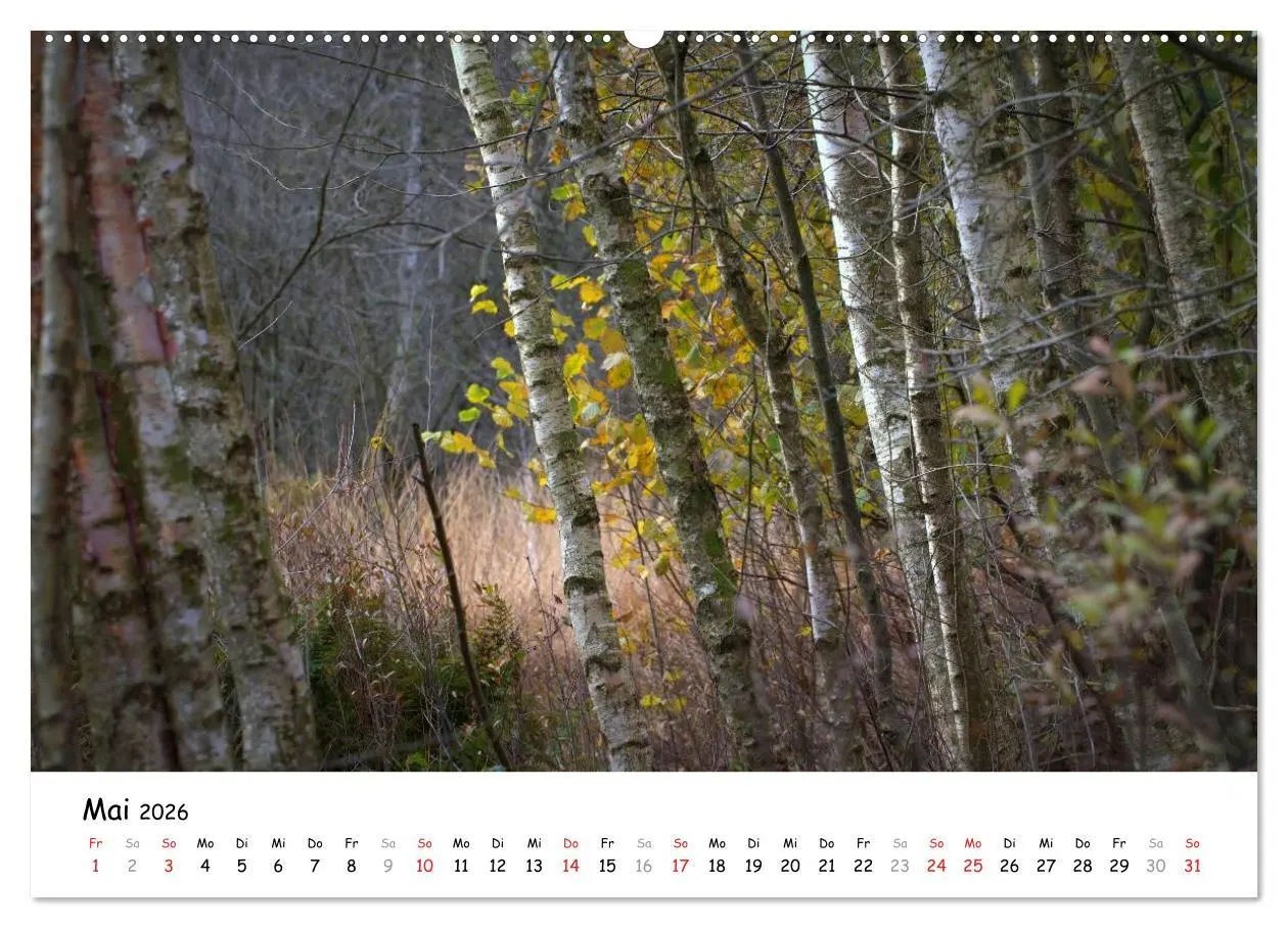 Bild: 9783516071221 | Unterwegs im Teufelsmoor (hochwertiger Premium Wandkalender 2026...