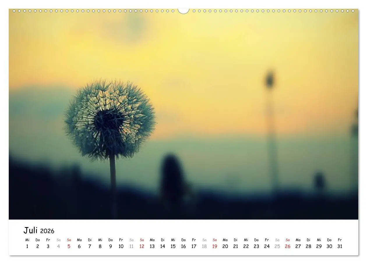 Bild: 9783516071221 | Unterwegs im Teufelsmoor (hochwertiger Premium Wandkalender 2026...