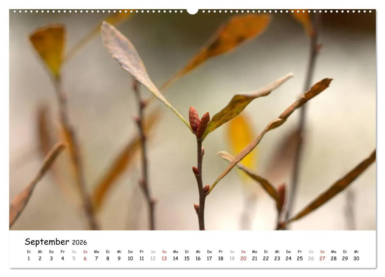 Bild: 9783516071221 | Unterwegs im Teufelsmoor (hochwertiger Premium Wandkalender 2026...