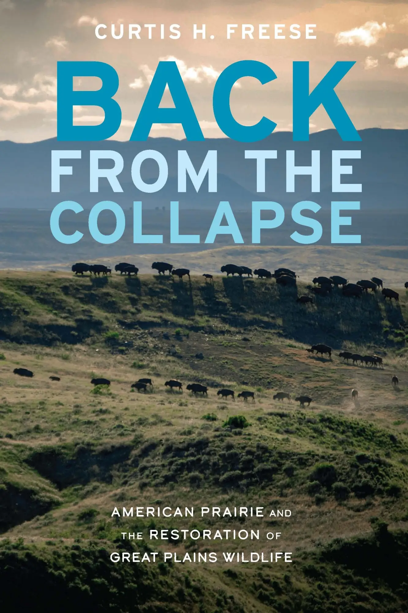 Cover: 9781496231321 | Back from the Collapse | Curtis H Freese | Taschenbuch | Englisch
