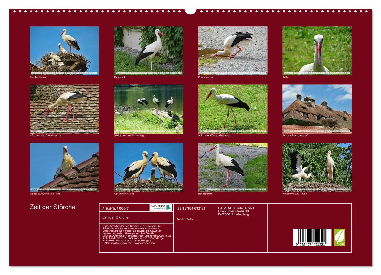 Bild: 9783457421321 | Zeit der Störche (hochwertiger Premium Wandkalender 2026 DIN A2...