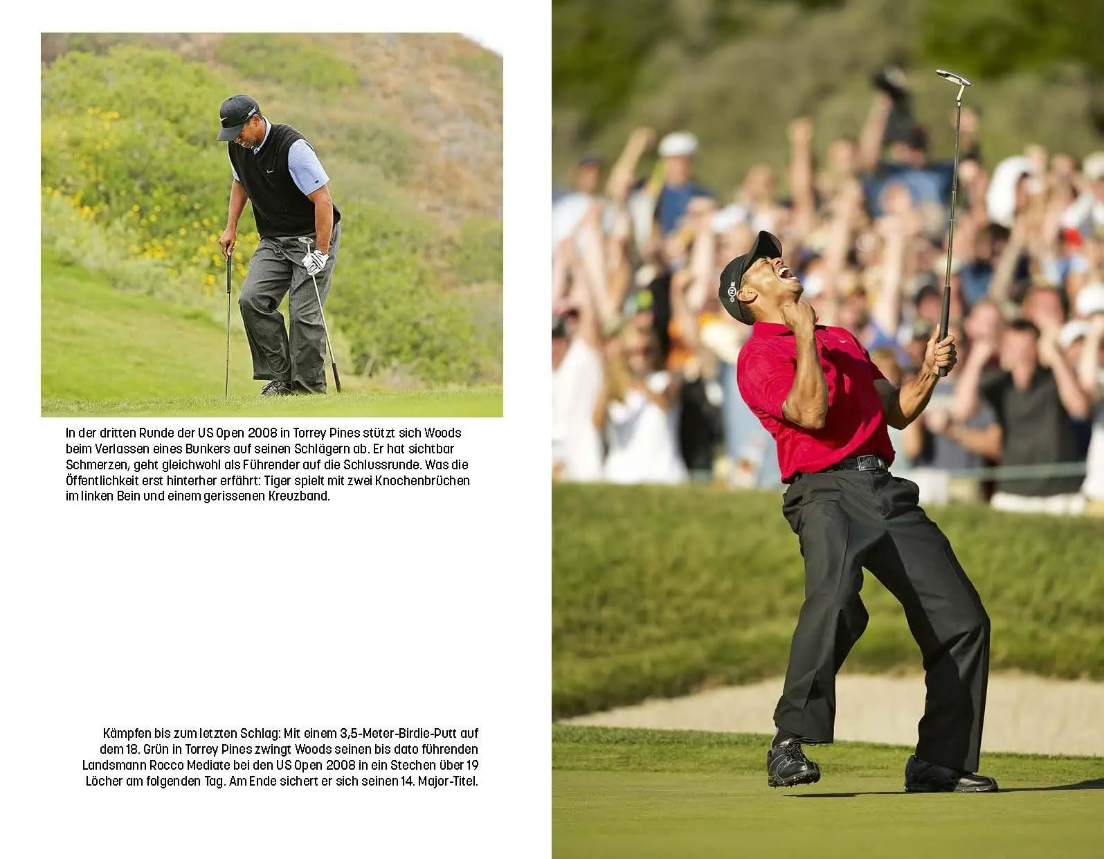 Bild: 9783985881321 | Tiger Woods | Bob Harig | Buch | 400 S. | Deutsch | 2025 | Edel Sports