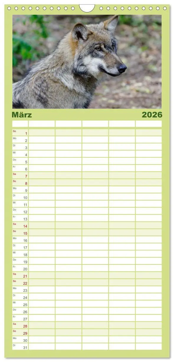 Bild: 9783516501421 | Familienplaner 2026 - Unsere Wölfe - Ein Wildtier kehrt zurück mit...