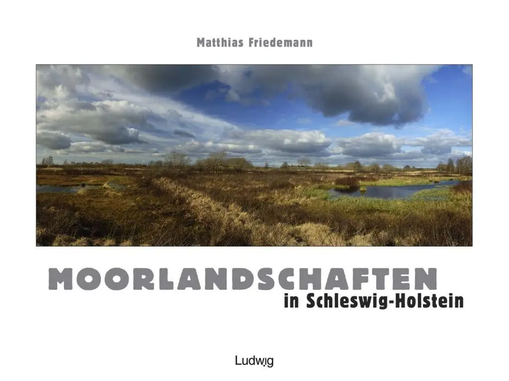 Cover: 9783869351421 | Moorlandschaften in Schleswig-Holstein | Matthias Friedemann | Buch