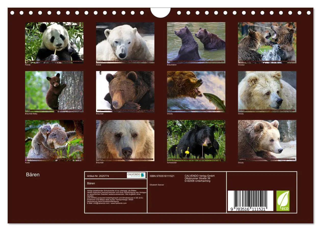 Bild: 9783516111521 | Bären (Wandkalender 2026 DIN A4 quer), CALVENDO Monatskalender | 2026