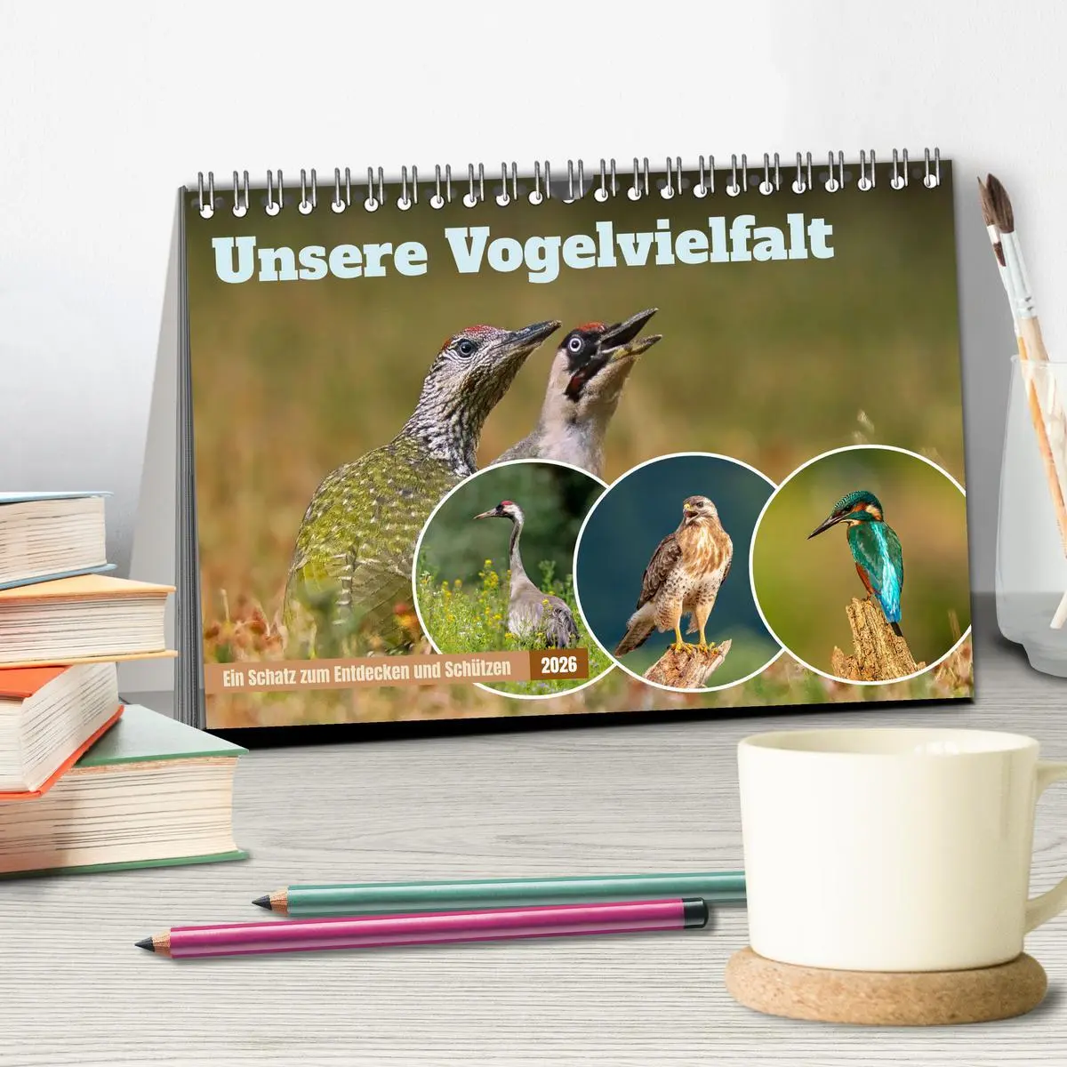 Bild: 9783457491621 | Unsere Vogelvielfalt: Ein Schatz zum Entdecken und Schützen...