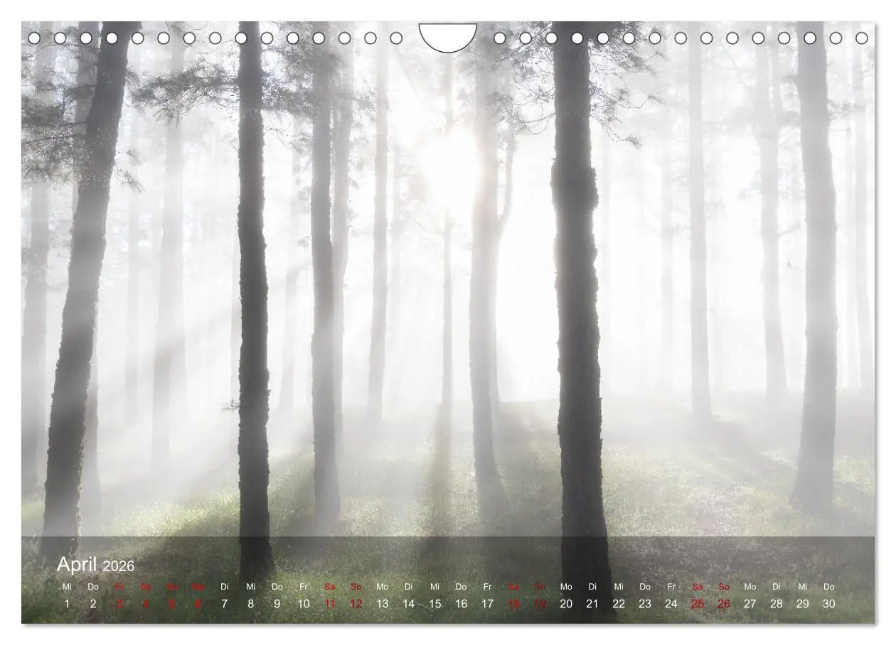 Bild: 9783457631621 | La Palma - La Isla Bonita (Wandkalender 2026 DIN A4 quer), CALVENDO...