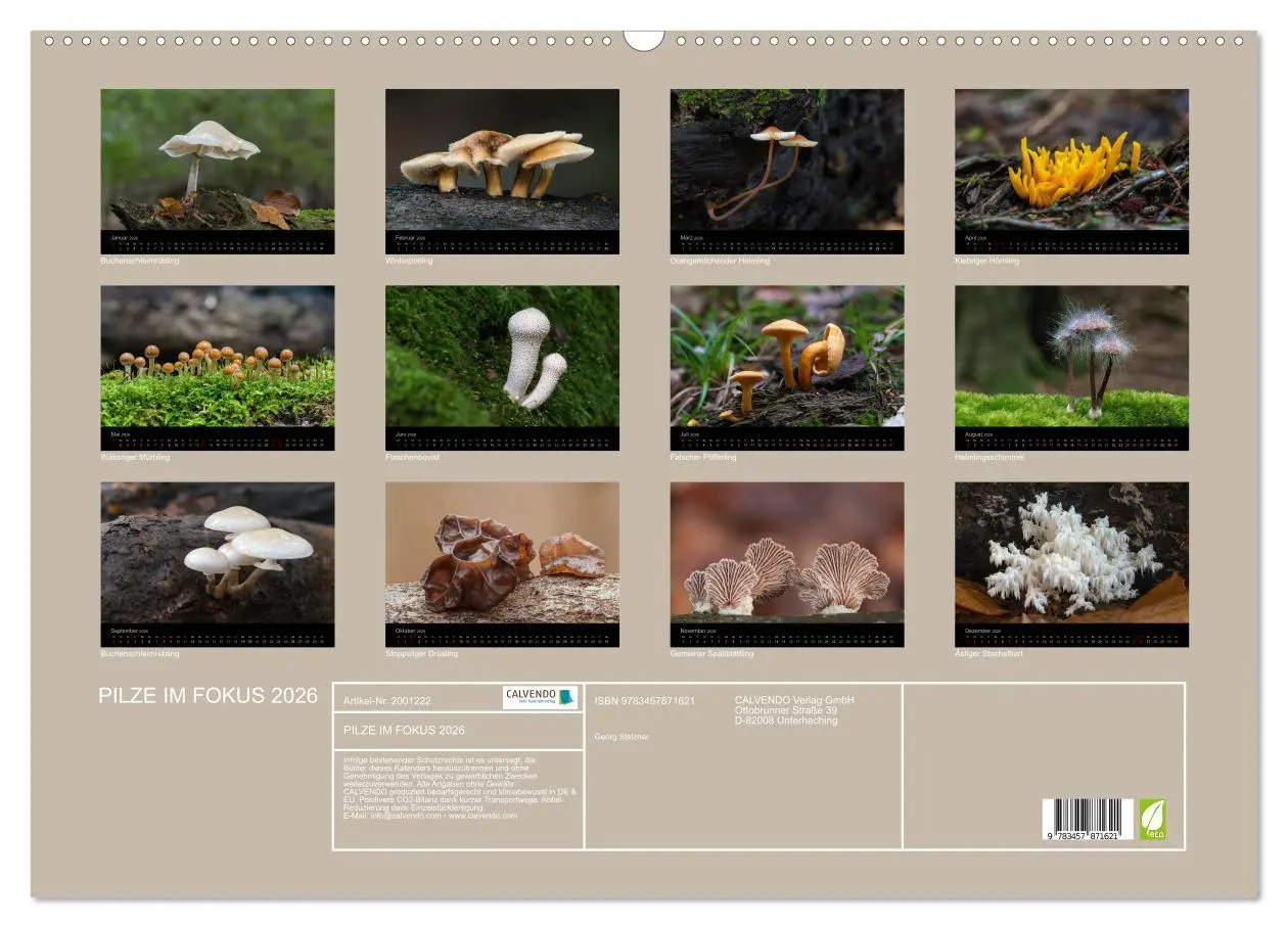 Bild: 9783457871621 | PILZE IM FOKUS 2026 (Wandkalender 2026 DIN A2 quer), CALVENDO...