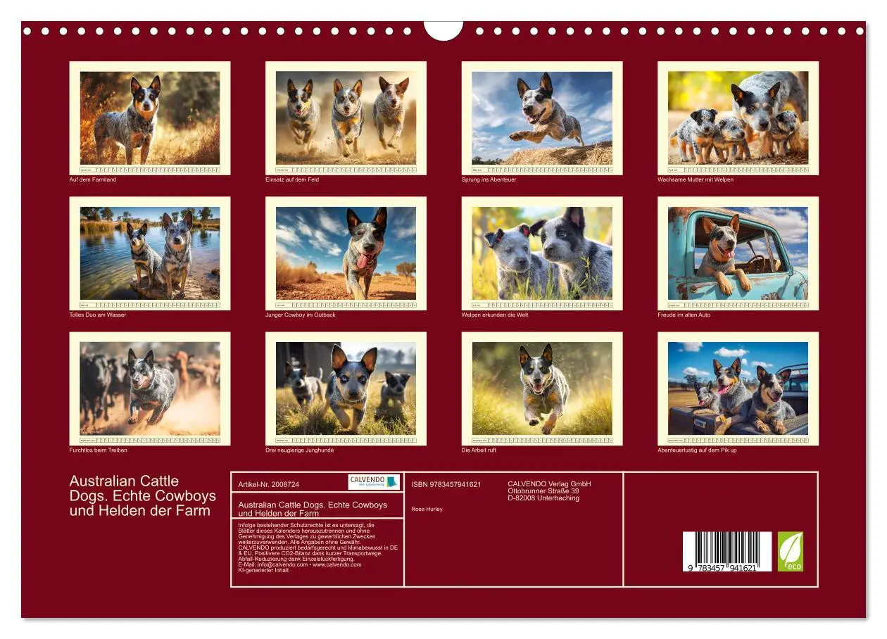 Bild: 9783457941621 | Australian Cattle Dogs. Echte Cowboys und Helden der Farm...