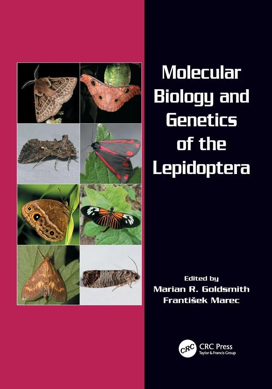 Cover: 9781138111721 | Molecular Biology and Genetics of the Lepidoptera | Goldsmith (u. a.)