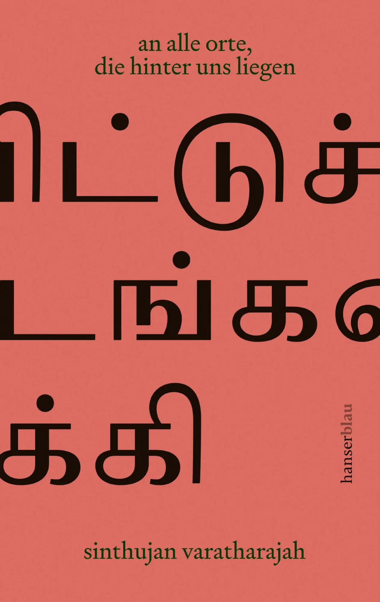 Cover: 9783446281721 | an alle orte, die hinter uns liegen | Sinthujan Varatharajah | Buch