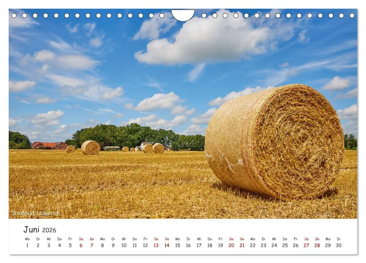 Bild: 9783457311721 | Emsland Impressionen (Wandkalender 2026 DIN A4 quer), CALVENDO...