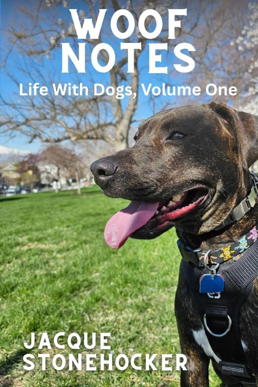 Cover: 9798999741721 | WOOF NOTES | Life With Dogs, Volume One | Jacque Stonehocker | Buch
