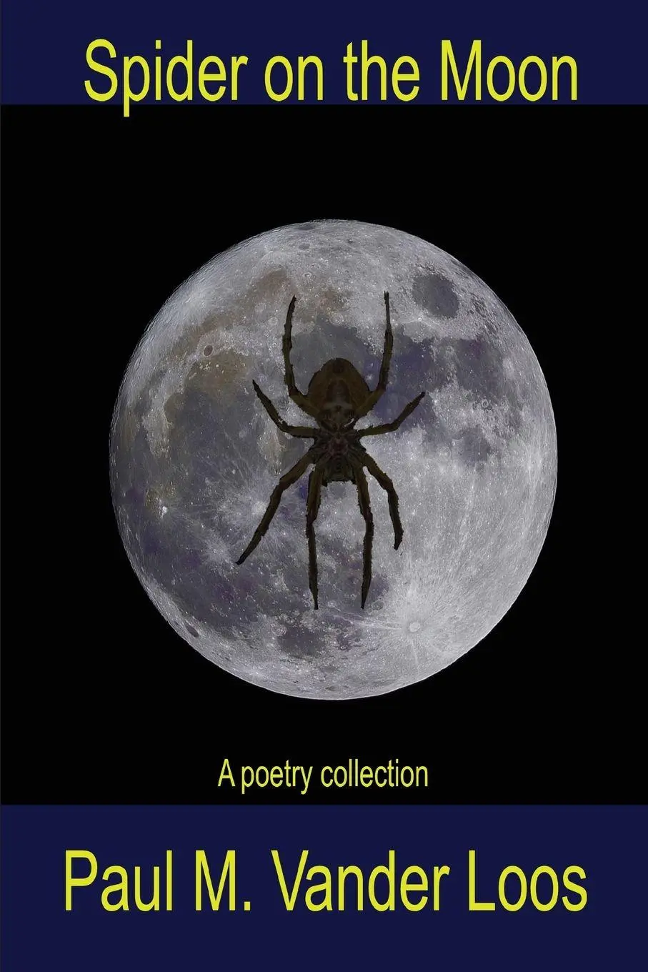 Cover: 9781646691821 | Spider on the Moon | A poetry collection | Paul Michael Vander Loos