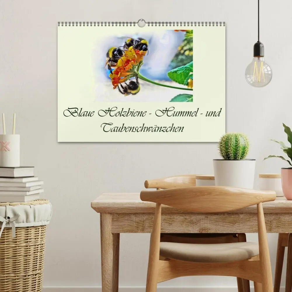 Bild: 9783435521821 | Blaue Holzbiene - Hummel - und Taubenschwänzchen. (Wandkalender...
