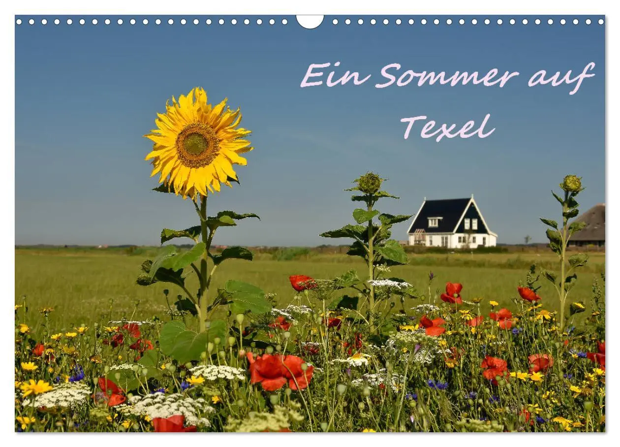 Cover: 9783457851821 | Ein Sommer auf Texel (Wandkalender 2026 DIN A3 quer), CALVENDO...