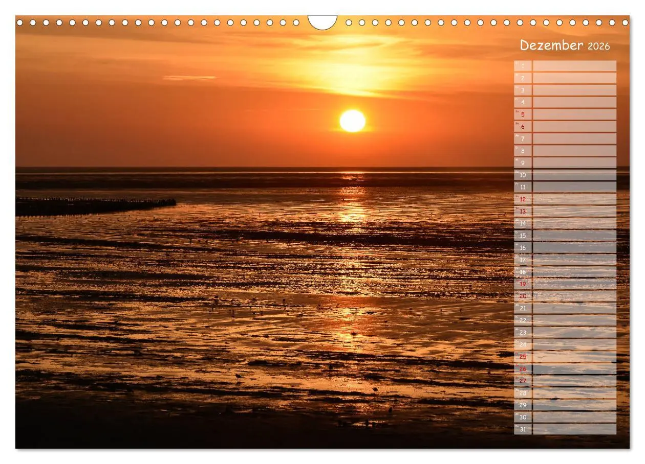 Bild: 9783457851821 | Ein Sommer auf Texel (Wandkalender 2026 DIN A3 quer), CALVENDO...