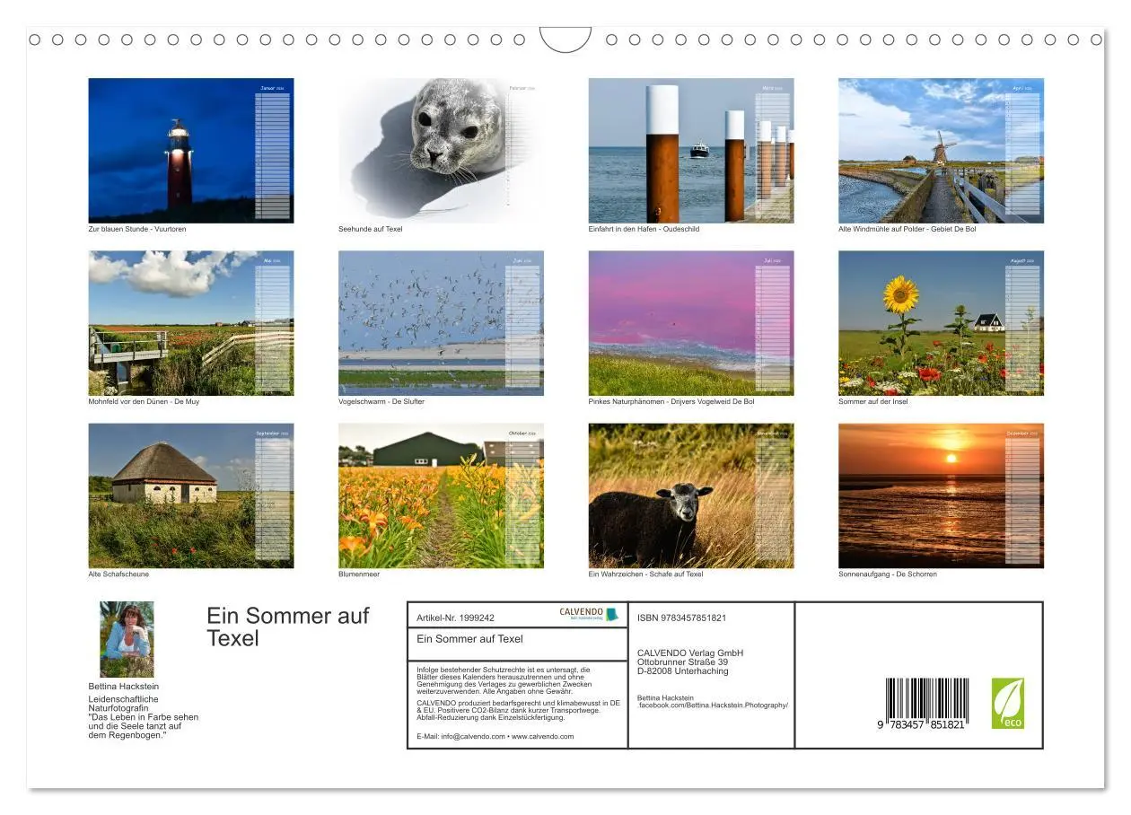 Bild: 9783457851821 | Ein Sommer auf Texel (Wandkalender 2026 DIN A3 quer), CALVENDO...