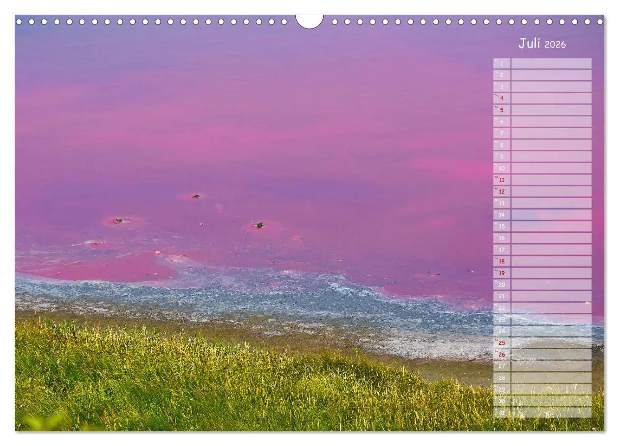 Bild: 9783457851821 | Ein Sommer auf Texel (Wandkalender 2026 DIN A3 quer), CALVENDO...
