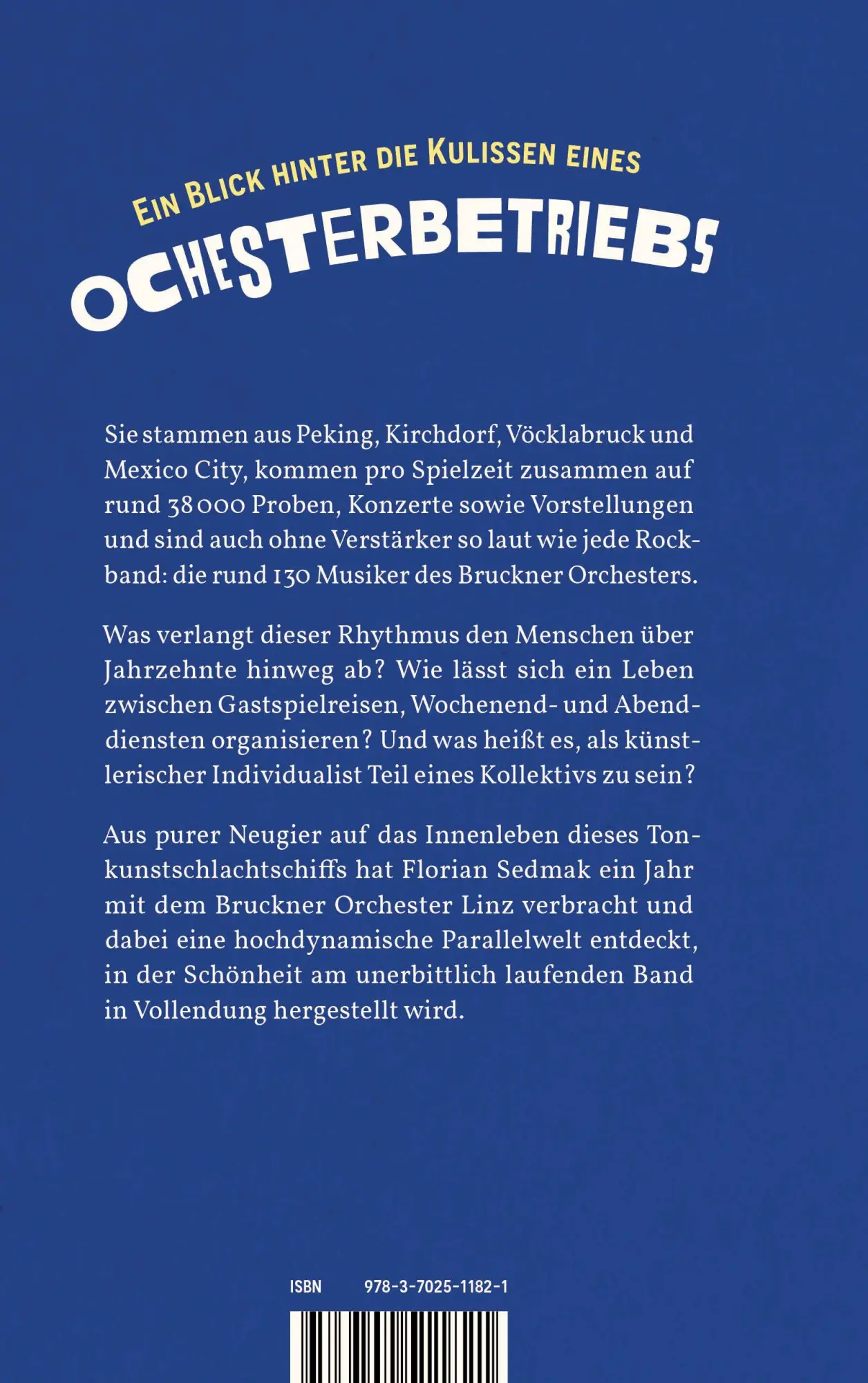 Bild: 9783702511821 | Unterwegs mit einem Orchester | Im goldenen Hamsterrad | Sedmak | Buch