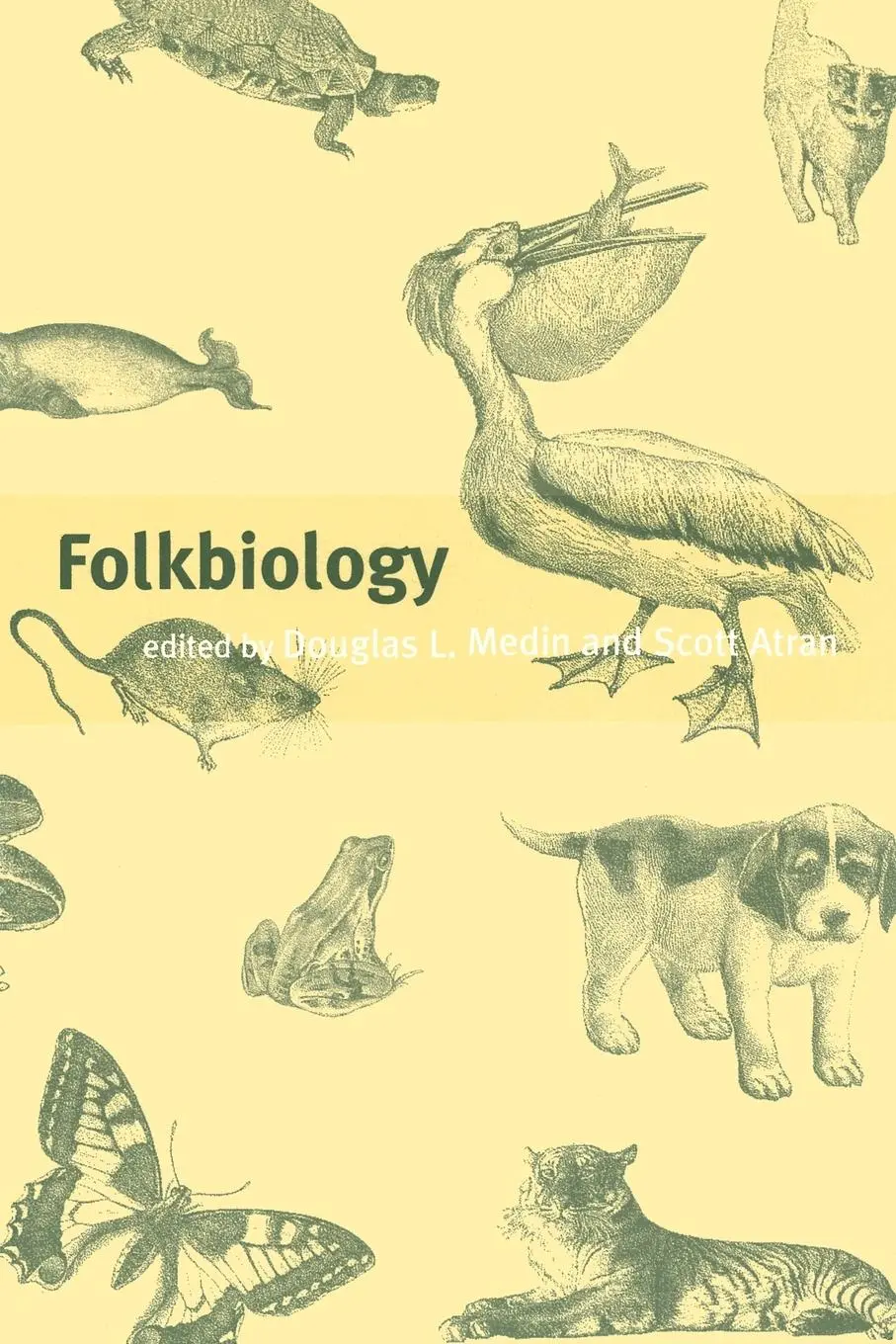 Cover: 9780262631921 | Folkbiology | Douglas L. Medin (u. a.) | Taschenbuch | Englisch | 1999