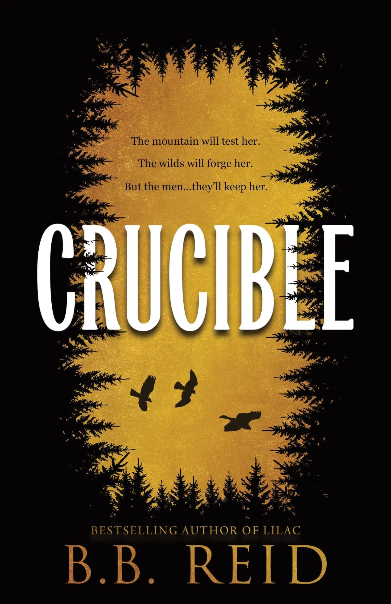 Cover: 9781464281921 | Crucible | A Why Choose Enemies to Lovers Retelling of Goldilocks