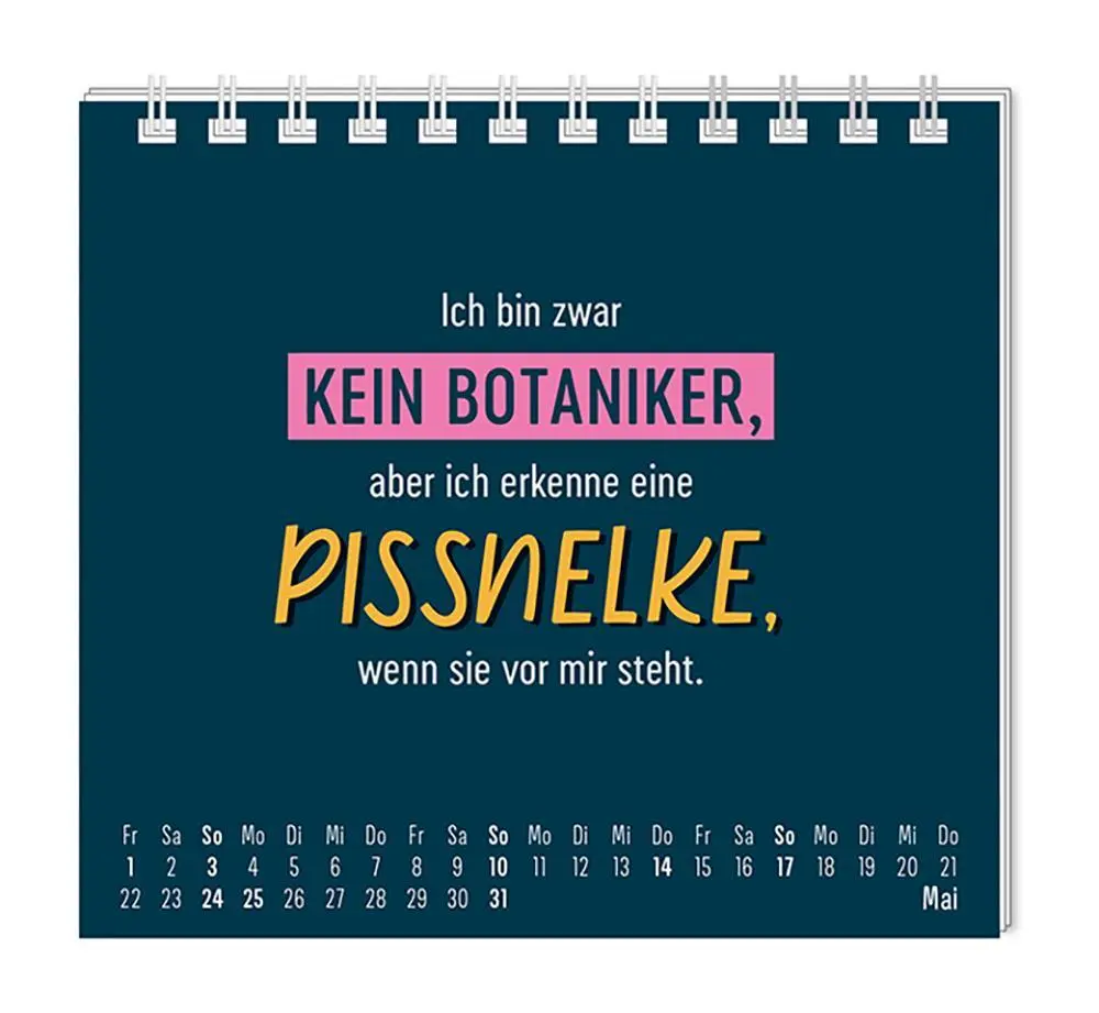 Bild: 9783986361921 | Mini-Kalender 2026 Nett kann ich auch | Mini-Kalender | Original