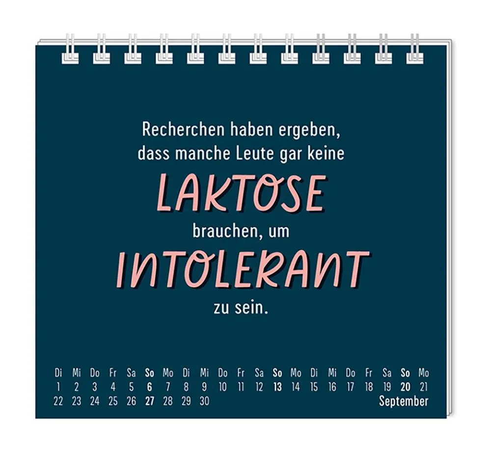 Bild: 9783986361921 | Mini-Kalender 2026 Nett kann ich auch | Mini-Kalender | Original