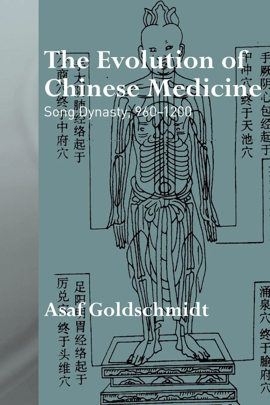 Cover: 9780415692021 | The Evolution of Chinese Medicine | Song Dynasty, 960-1200 | Buch
