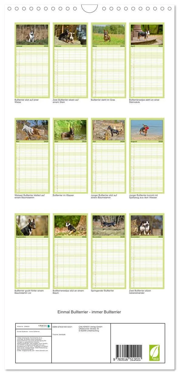 Bild: 9783516512021 | Familienplaner 2026 - Einmal Bullterrier - immer Bullterrier mit 5...