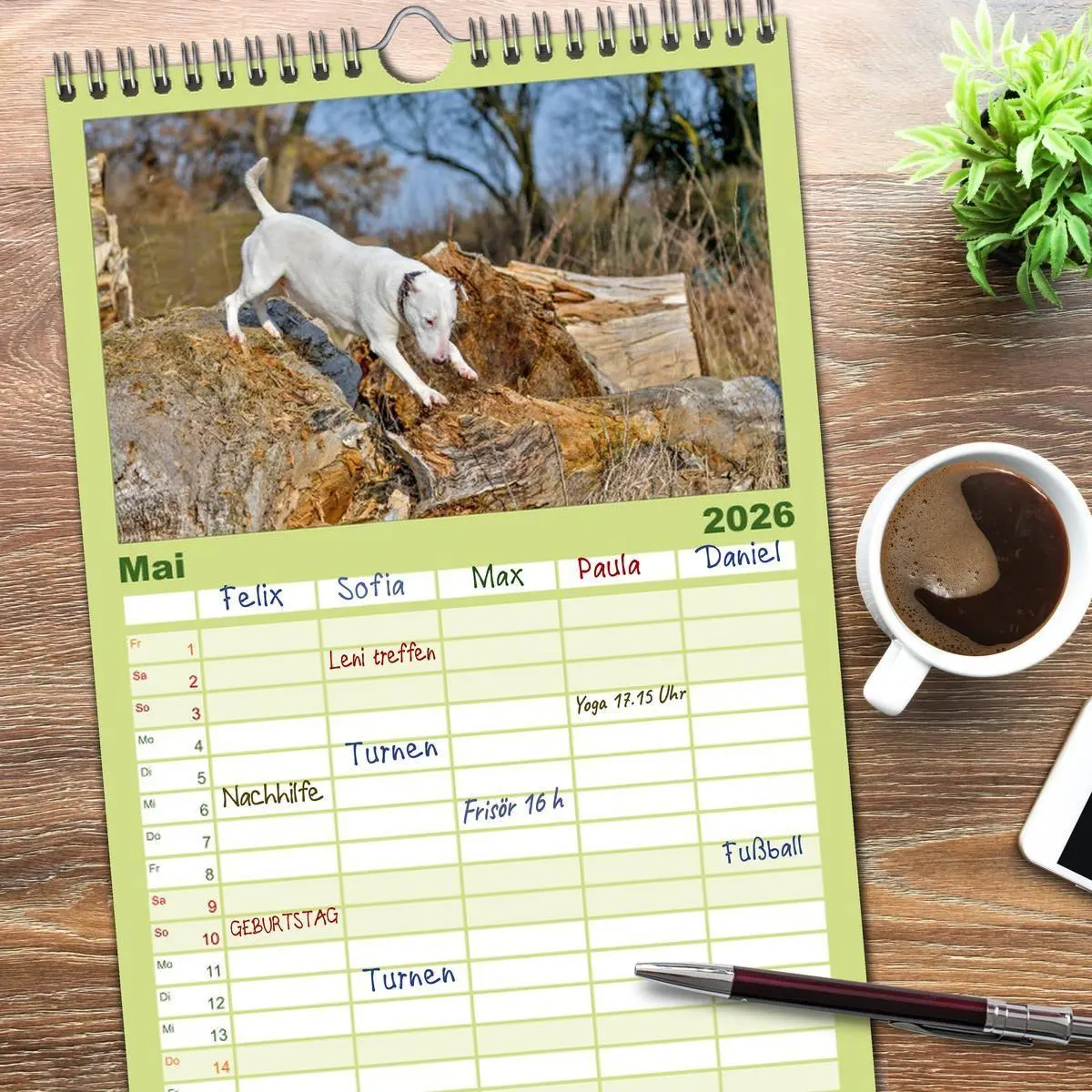 Bild: 9783516512021 | Familienplaner 2026 - Einmal Bullterrier - immer Bullterrier mit 5...