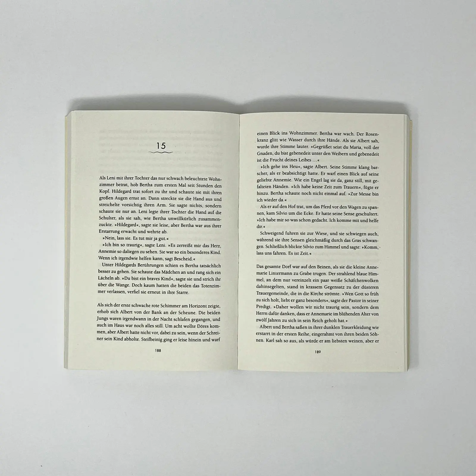 Bild: 9783864932021 | Ginsterhöhe | Anna-Maria Caspari | Taschenbuch | 400 S. | Deutsch