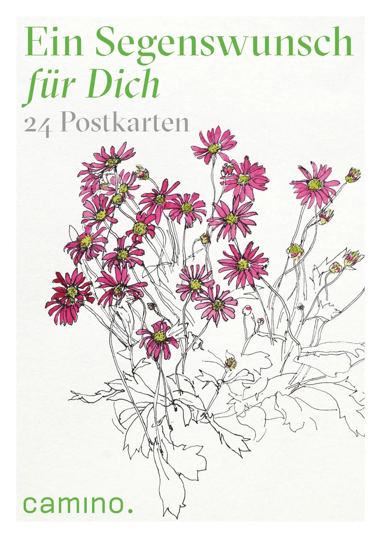 Cover: 9783961572021 | Ein Segenswunsch für Dich | 24 Postkarten | Natalie Wolff | 50 S.