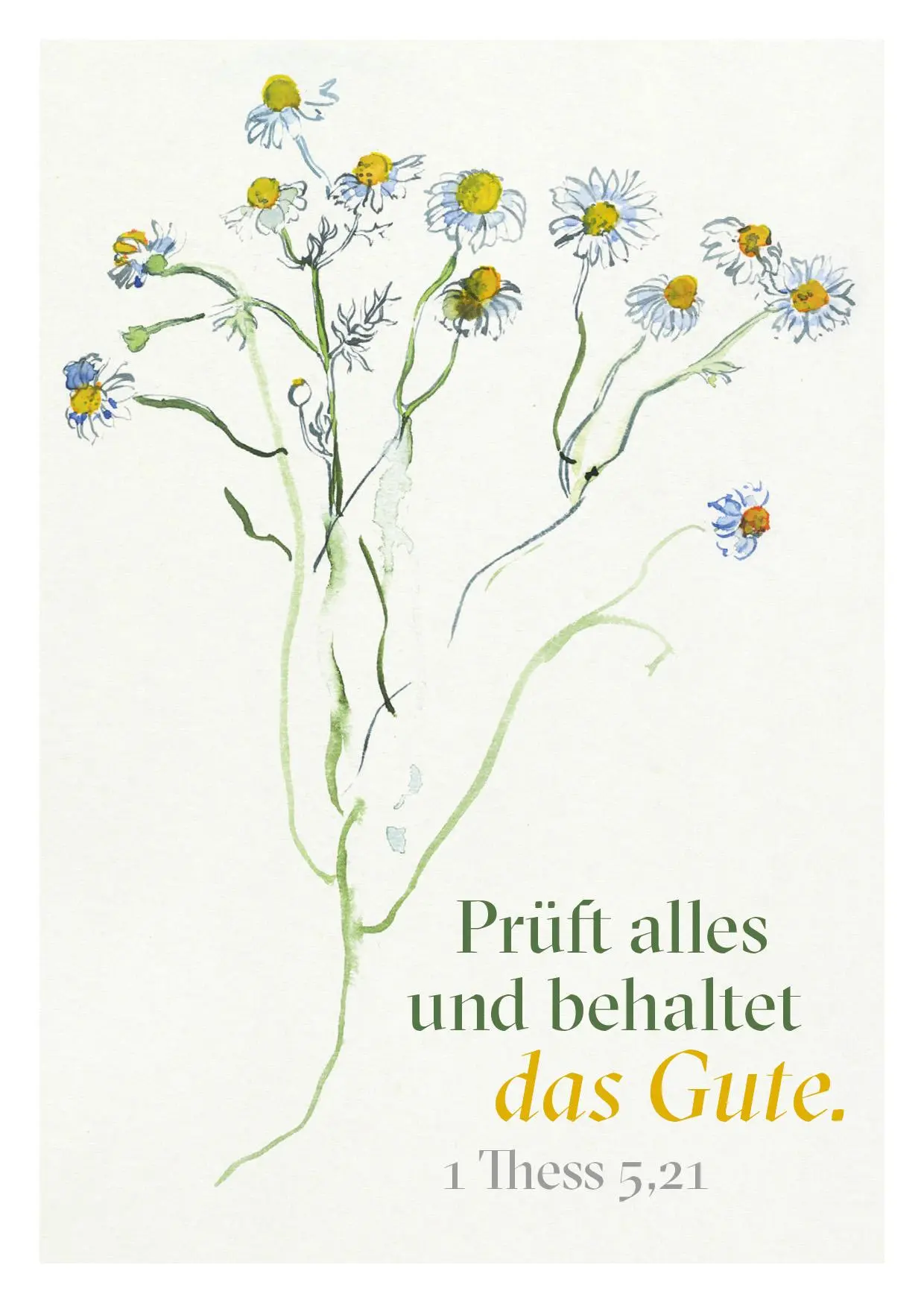 Bild: 9783961572021 | Ein Segenswunsch für Dich | 24 Postkarten | Natalie Wolff | 50 S.