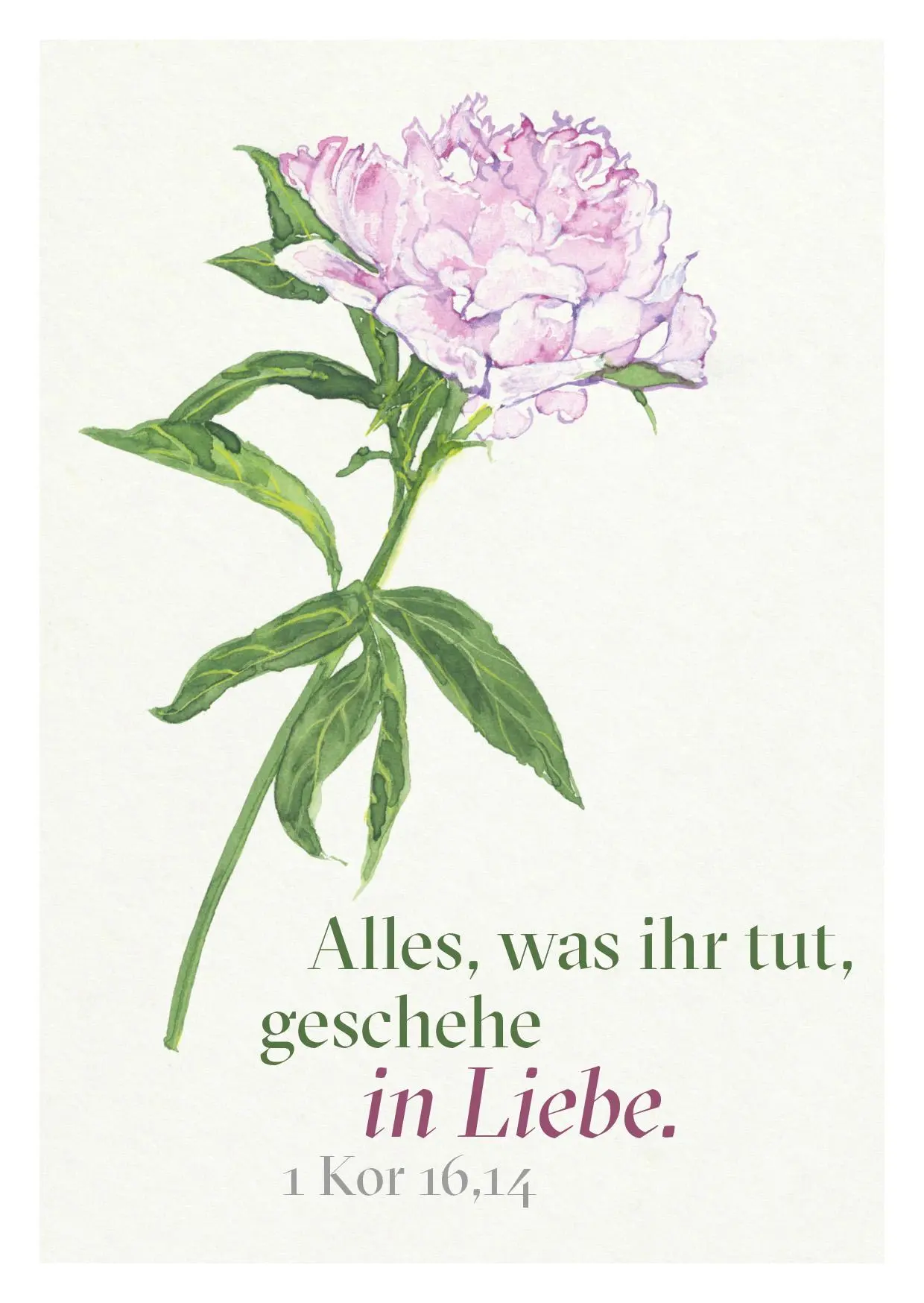 Bild: 9783961572021 | Ein Segenswunsch für Dich | 24 Postkarten | Natalie Wolff | 50 S.