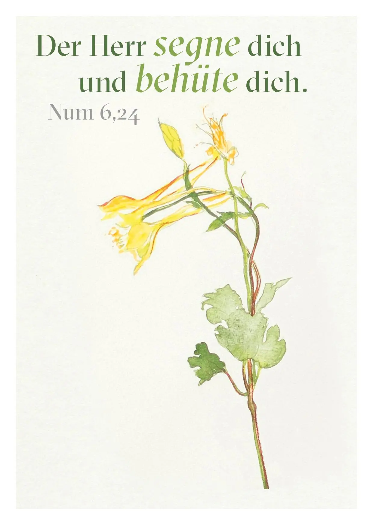 Bild: 9783961572021 | Ein Segenswunsch für Dich | 24 Postkarten | Natalie Wolff | 50 S.