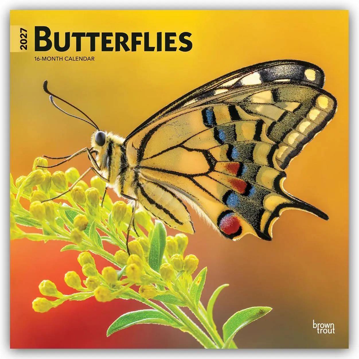 Cover: 9798330712021 | Butterflies - Schmetterlinge 2027 - 16-Monatskalender | Publishers