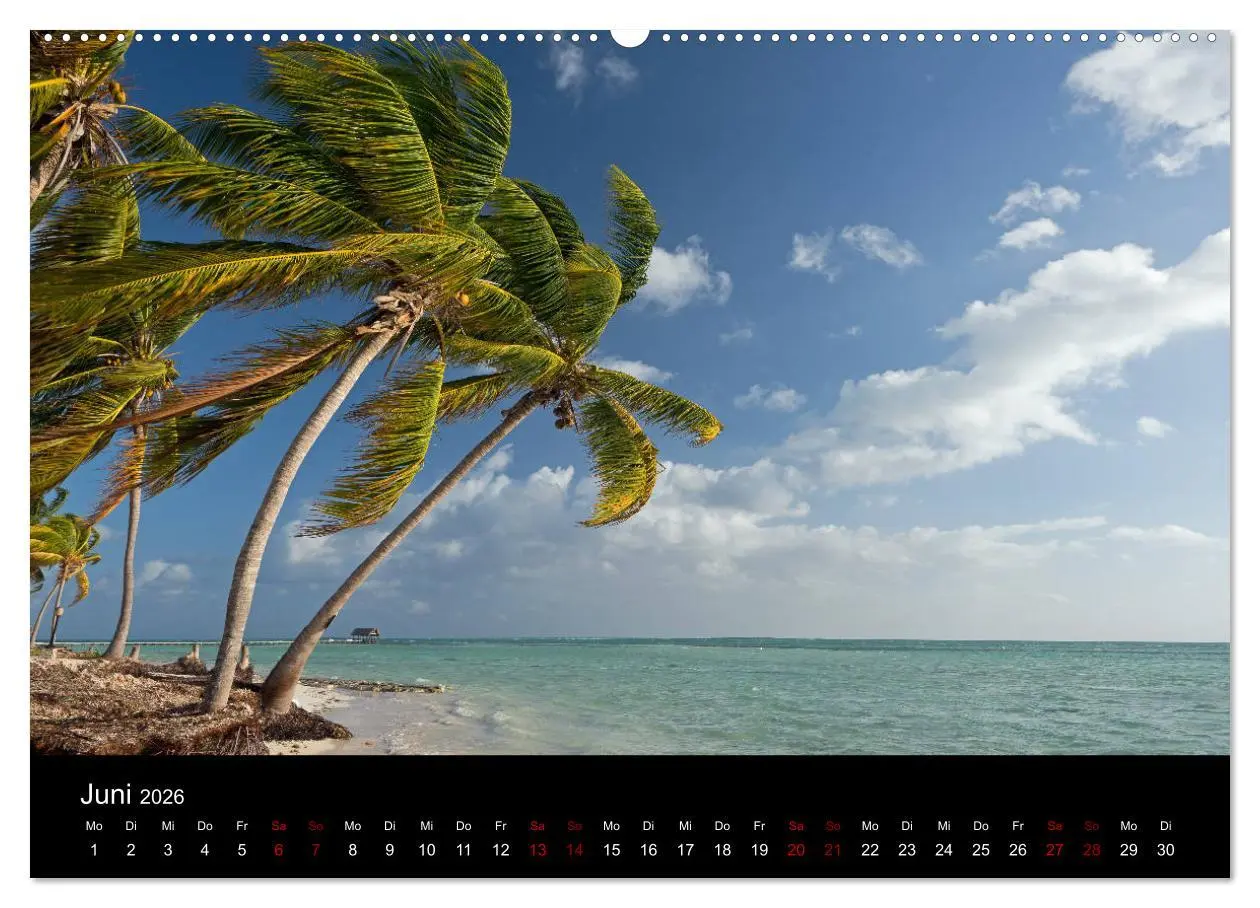 Bild: 9783457892121 | Kuba 2026 (Wandkalender 2026 DIN A2 quer), CALVENDO Monatskalender