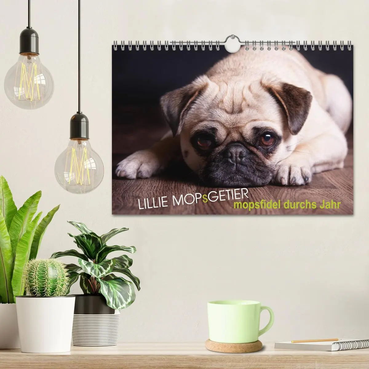 Bild: 9783457962121 | Lillie Mopsgetier - mopsfidel durchs Jahr (Wandkalender 2026 DIN A4...