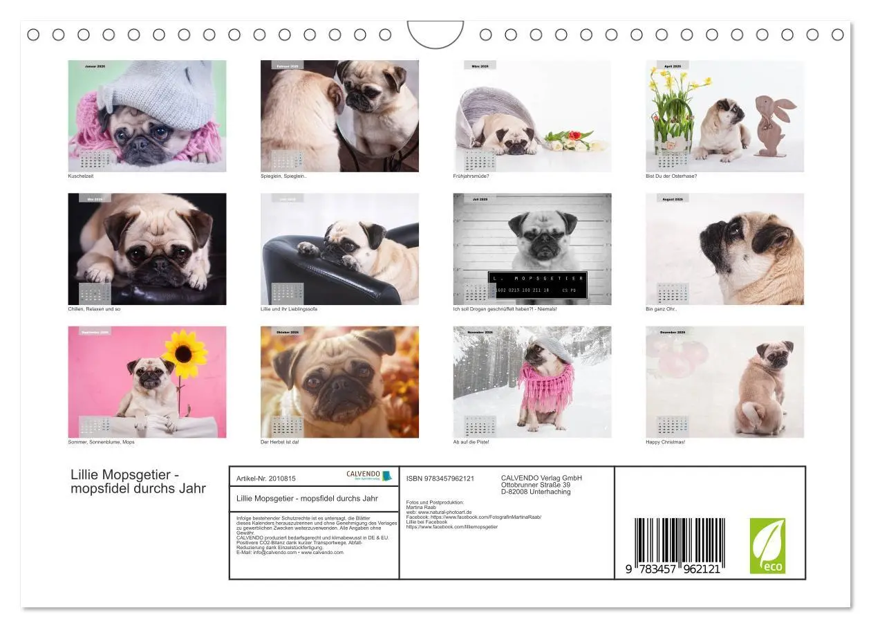 Bild: 9783457962121 | Lillie Mopsgetier - mopsfidel durchs Jahr (Wandkalender 2026 DIN A4...
