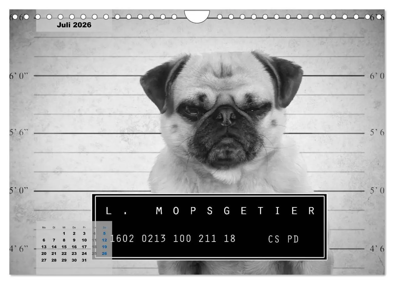 Bild: 9783457962121 | Lillie Mopsgetier - mopsfidel durchs Jahr (Wandkalender 2026 DIN A4...