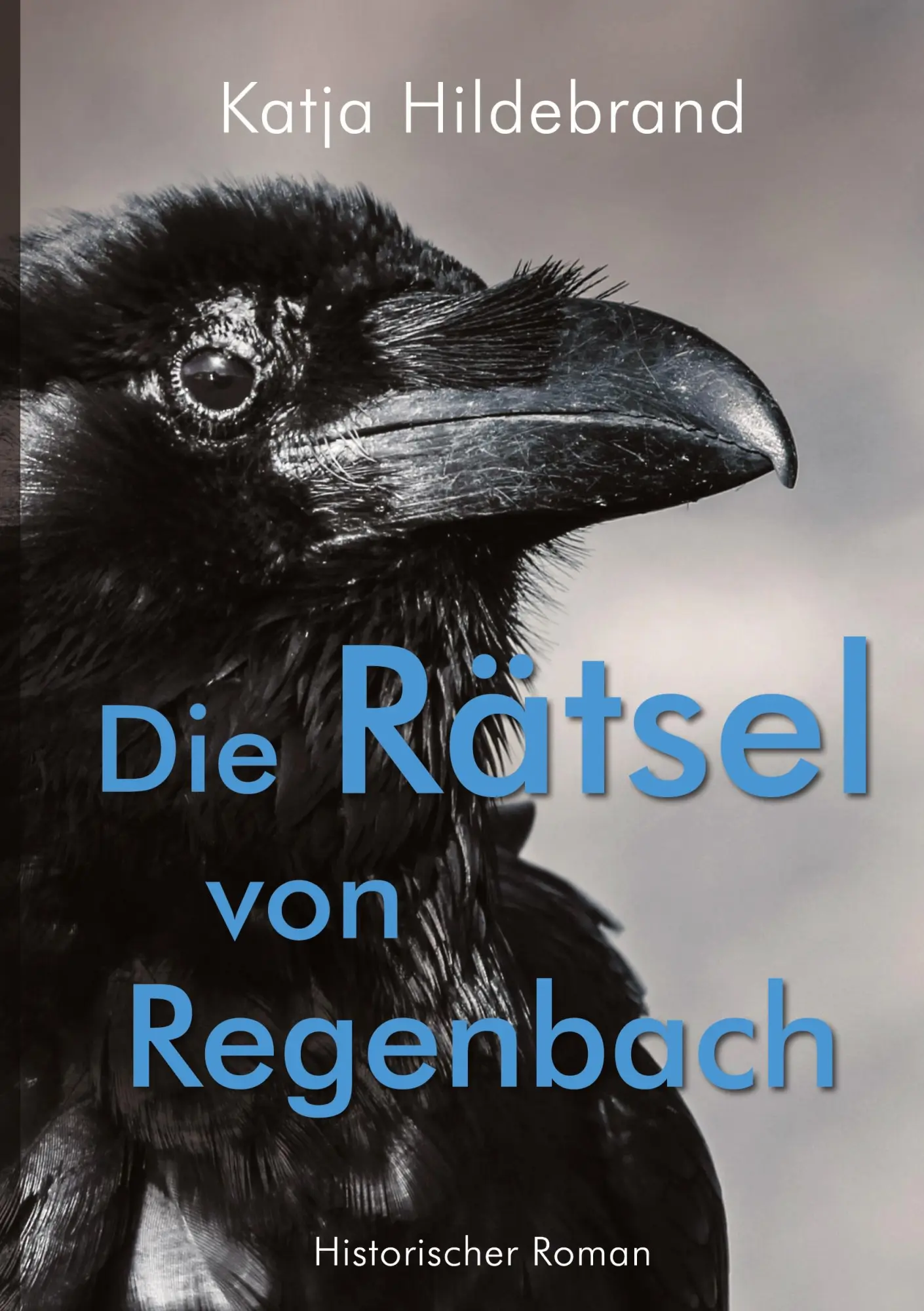Cover: 9783384762221 | Die Rätsel von Regenbach | Historischer Roman | Katja Hildebrand