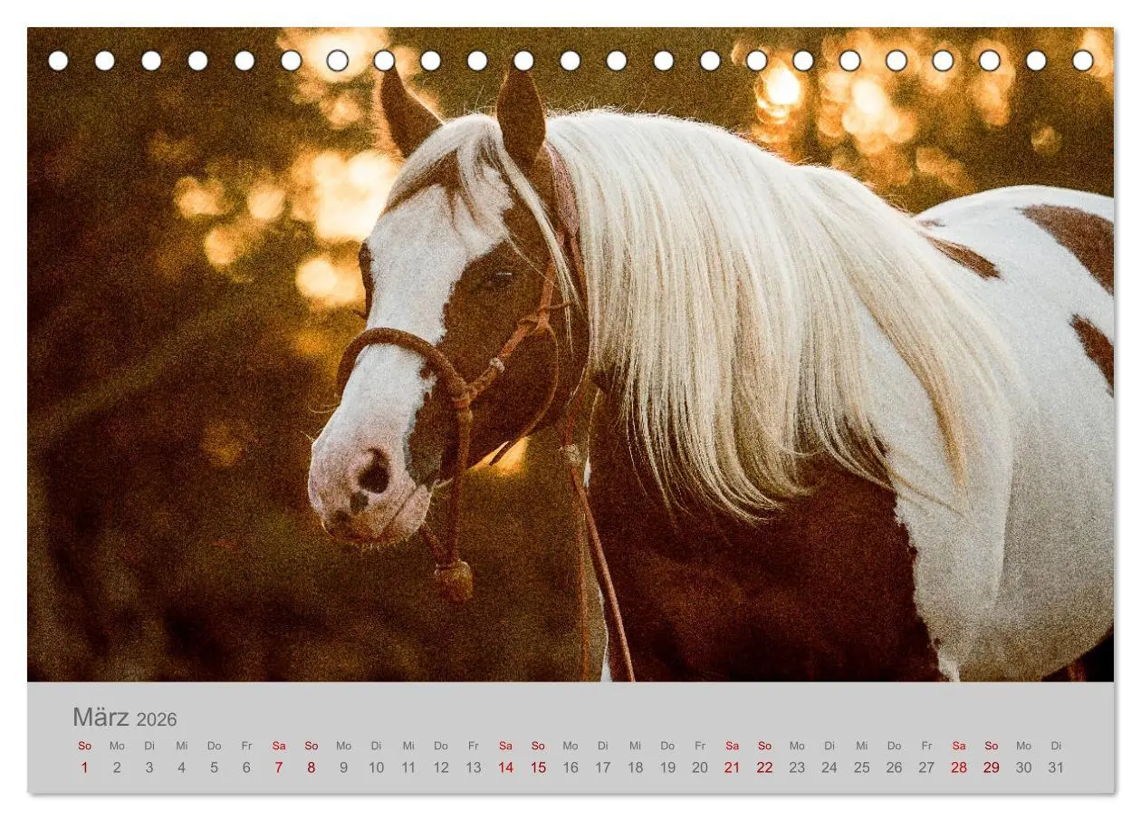 Bild: 9783457882221 | Pferde - Anmut, Eleganz, Magie (Tischkalender 2026 DIN A5 quer),...