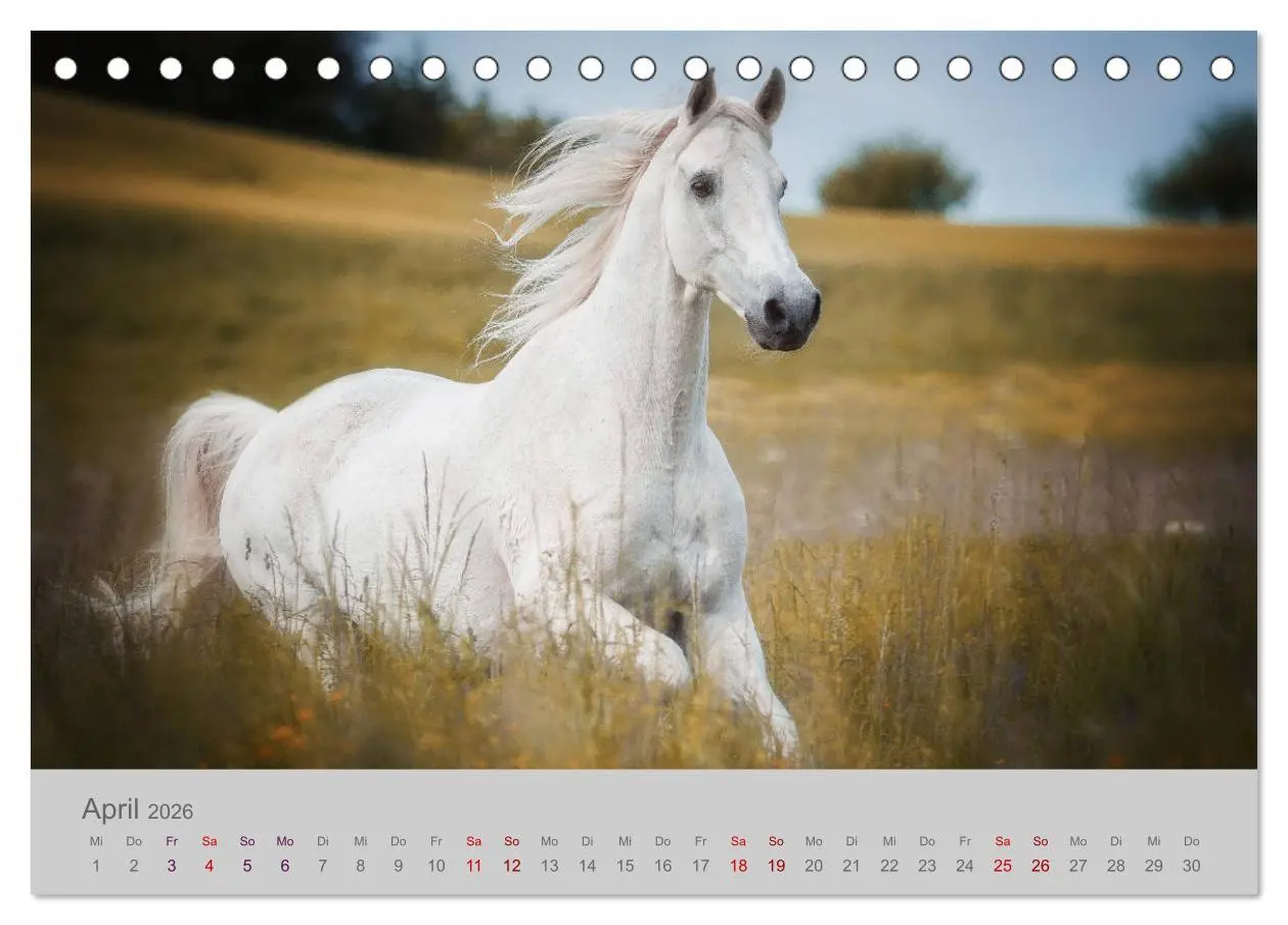 Bild: 9783457882221 | Pferde - Anmut, Eleganz, Magie (Tischkalender 2026 DIN A5 quer),...