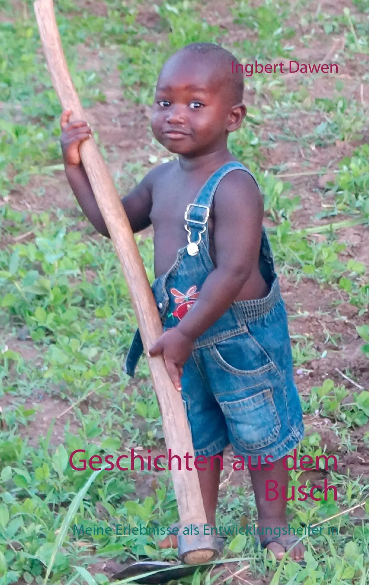 Cover: 9783734772221 | Geschichten aus dem Busch | Ingbert Dawen | Taschenbuch | 84 S. | 2015