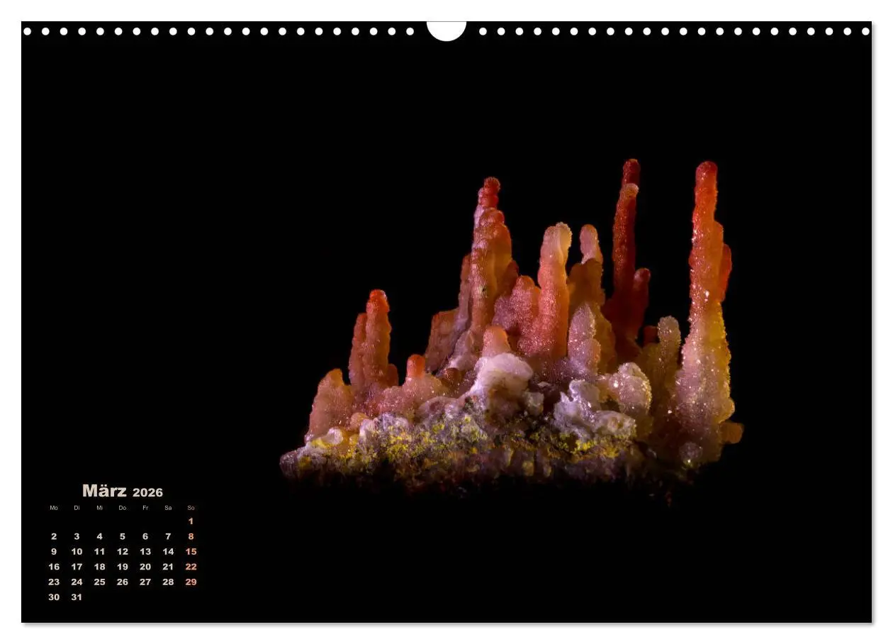 Bild: 9783457872321 | MINERALIEN designed by nature (Wandkalender 2026 DIN A3 quer),...