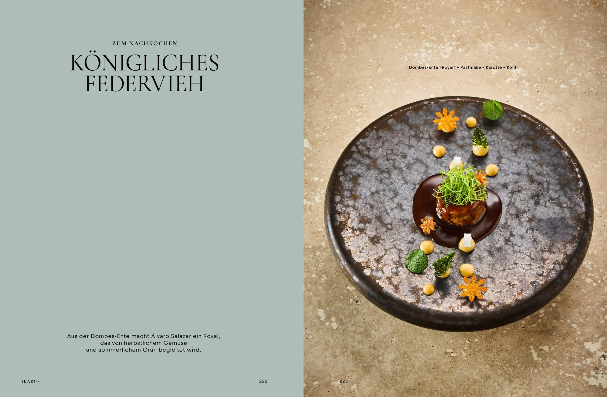 Bild: 9783710902321 | Ikarus | Die besten Köche der Welt zu Gast in Salzburg | Klein (u. a.)