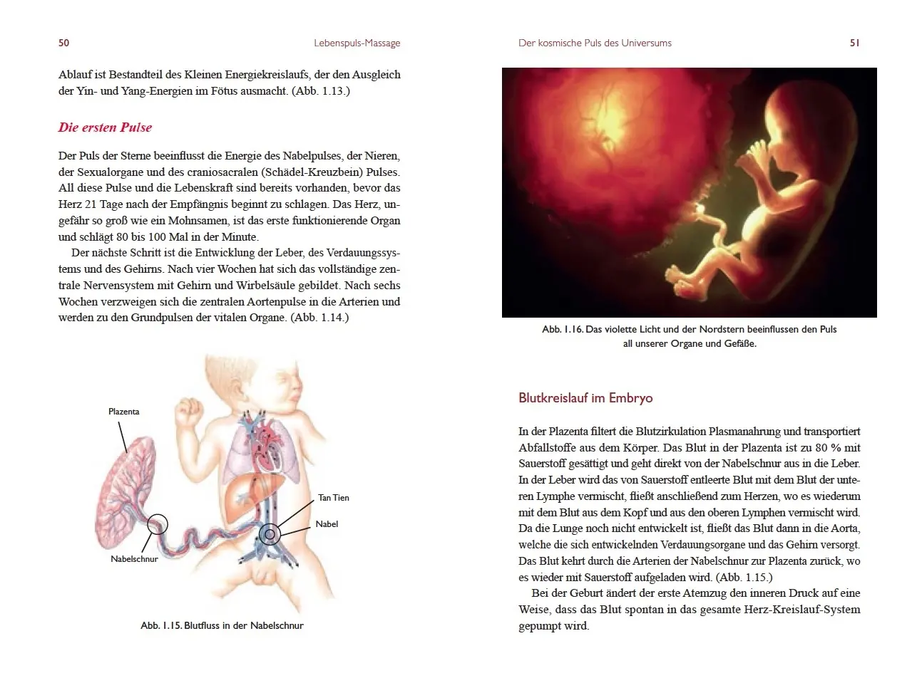 Bild: 9783954472321 | Lebenspuls Massage | Mantak Chia | Taschenbuch | 314 S. | Deutsch