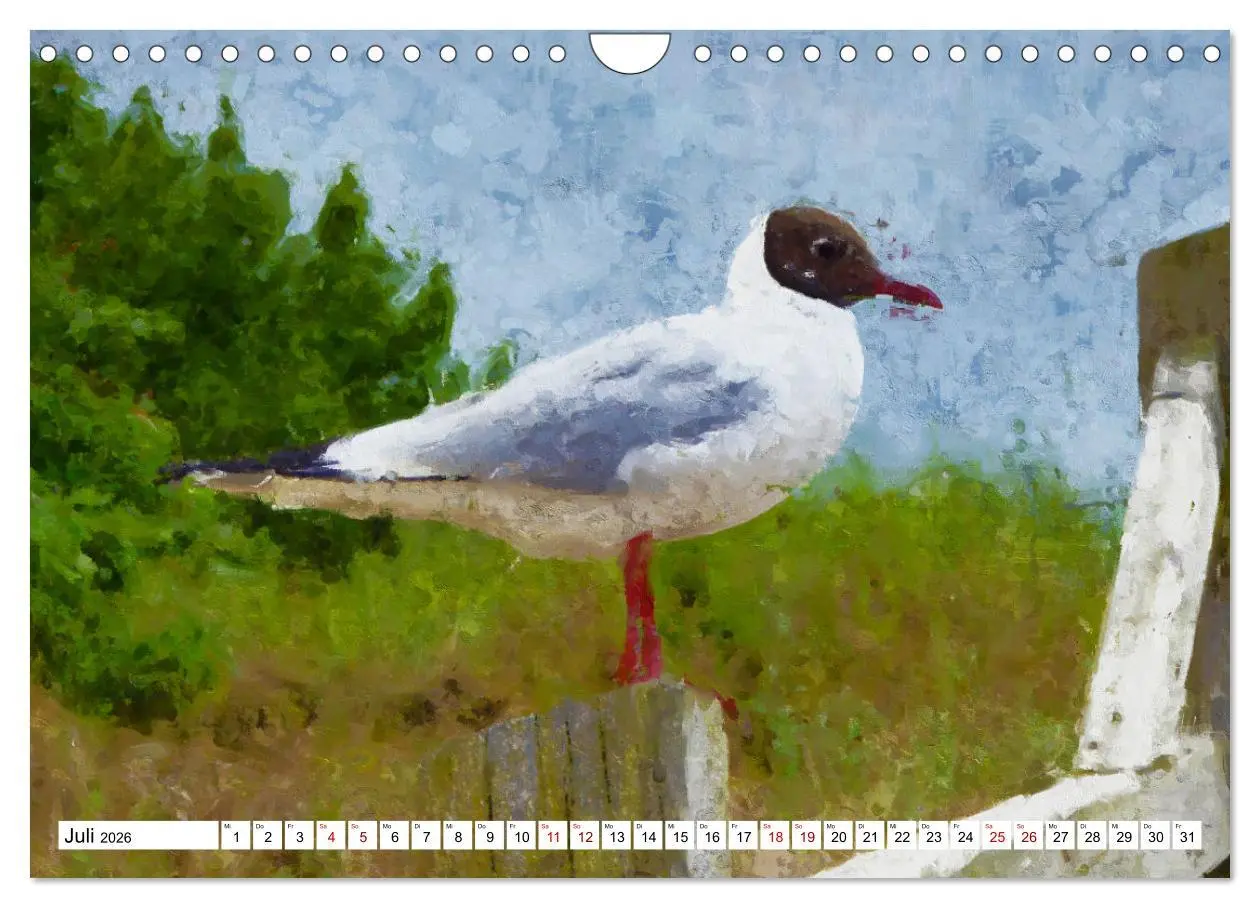 Bild: 9783457622421 | Malerische Insel Usedom - Acryl Impressionen (Wandkalender 2026 DIN...